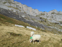 Randonn�es et ski de randonn�es en montagne dans les Pyr�n�es