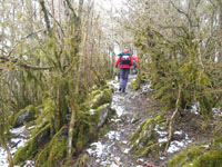 Randonn�es et ski de randonn�es en montagne dans les Pyr�n�es