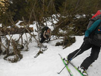 Randonn�es et ski de randonn�es en montagne dans les Pyr�n�es