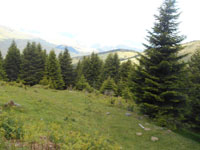 Randonn�es et ski de randonn�es en montagne dans les Pyr�n�es