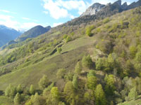 Randonn�es et ski de randonn�es en montagne dans les Pyr�n�es