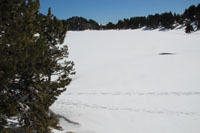 Randonn�es et ski de randonn�es en montagne dans les Pyr�n�es