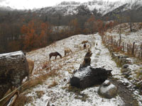 Randonn�es et ski de randonn�es en montagne dans les Pyr�n�es