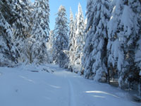 Randonn�es et ski de randonn�es en montagne dans les Pyr�n�es