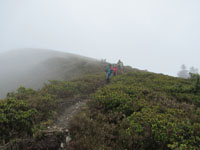 Randonn�es et ski de randonn�es en montagne dans les Pyr�n�es