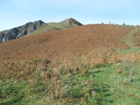 Randonn�es et ski de randonn�es en montagne dans les Pyr�n�es