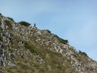 Randonn�es et ski de randonn�es en montagne dans les Pyr�n�es