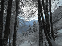 Randonn�es et ski de randonn�es en montagne dans les Pyr�n�es