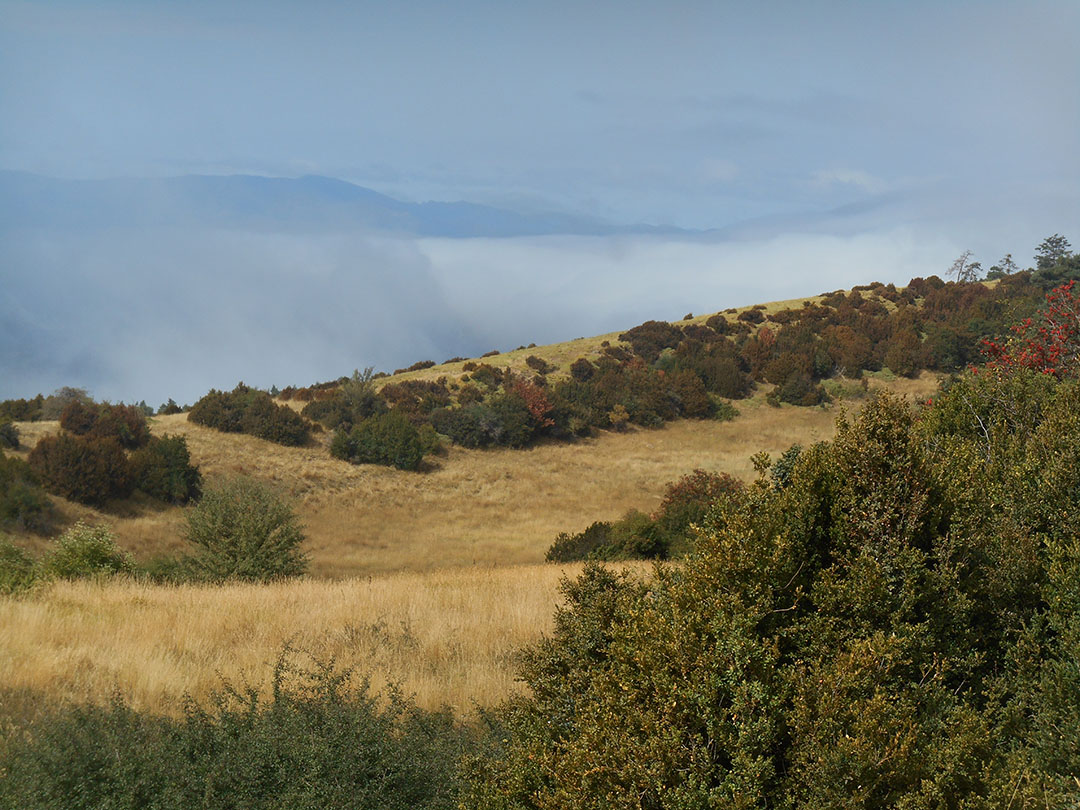 Photo de Christian Ferrère