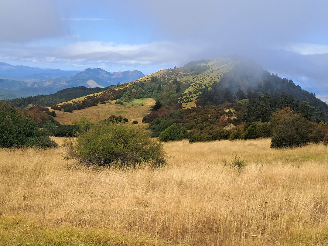 Photo de Christian Ferrère