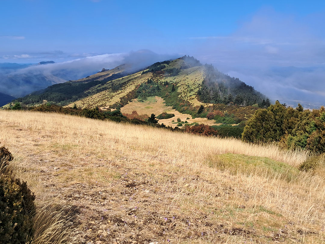 Photo de Christian Ferrère