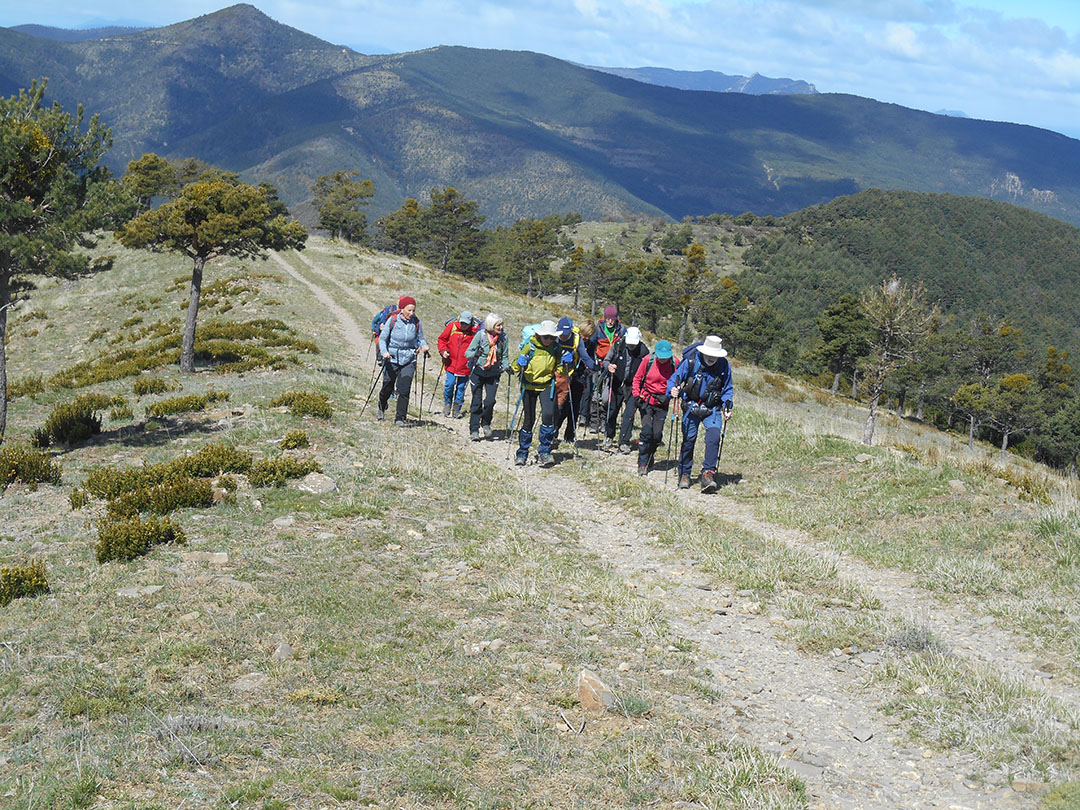 Photo de Christian Ferrère
