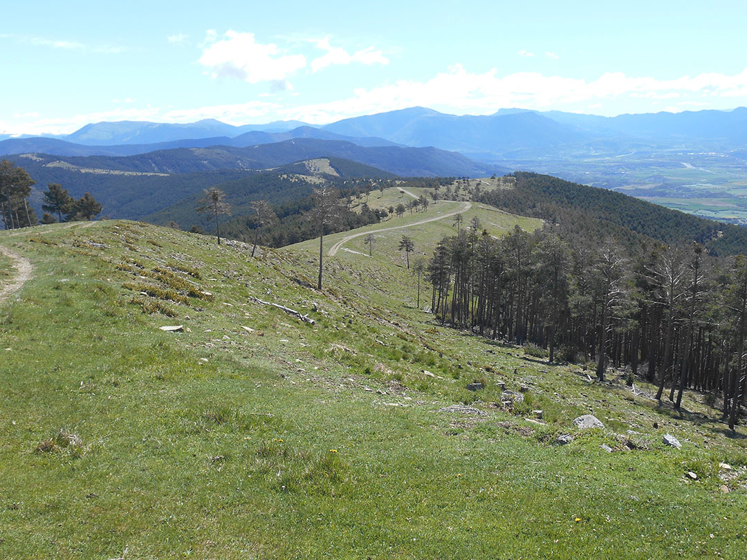 Photo de Christian Ferrère