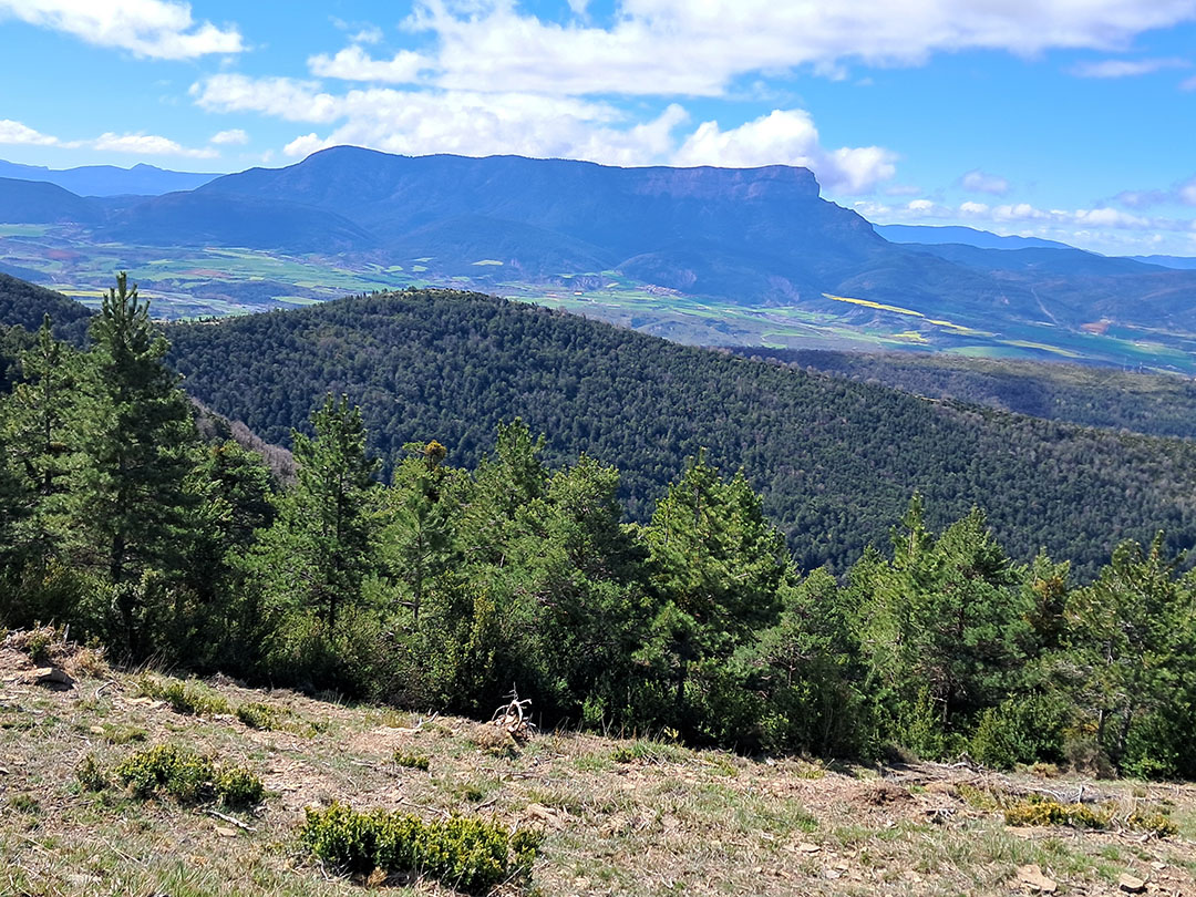 Photo de Christian Ferrère