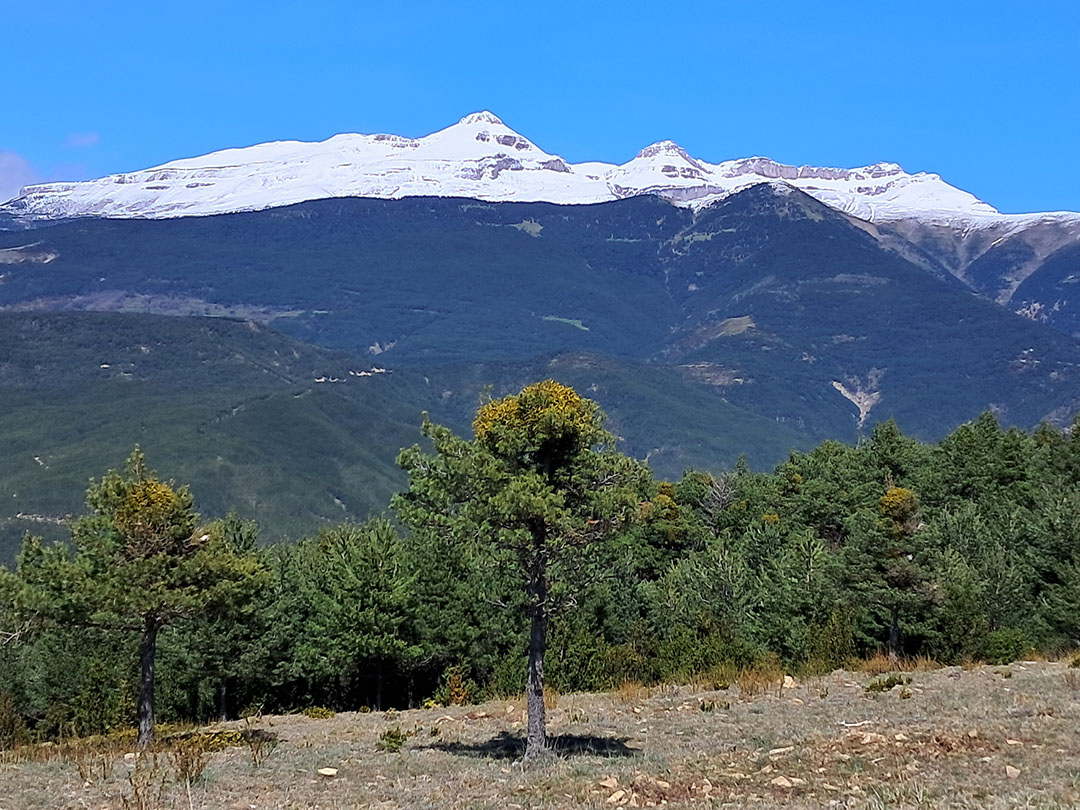 Photo de Christian Ferrère