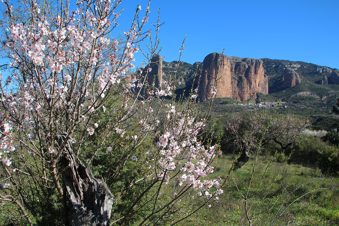 Photo de Christian Ferrère