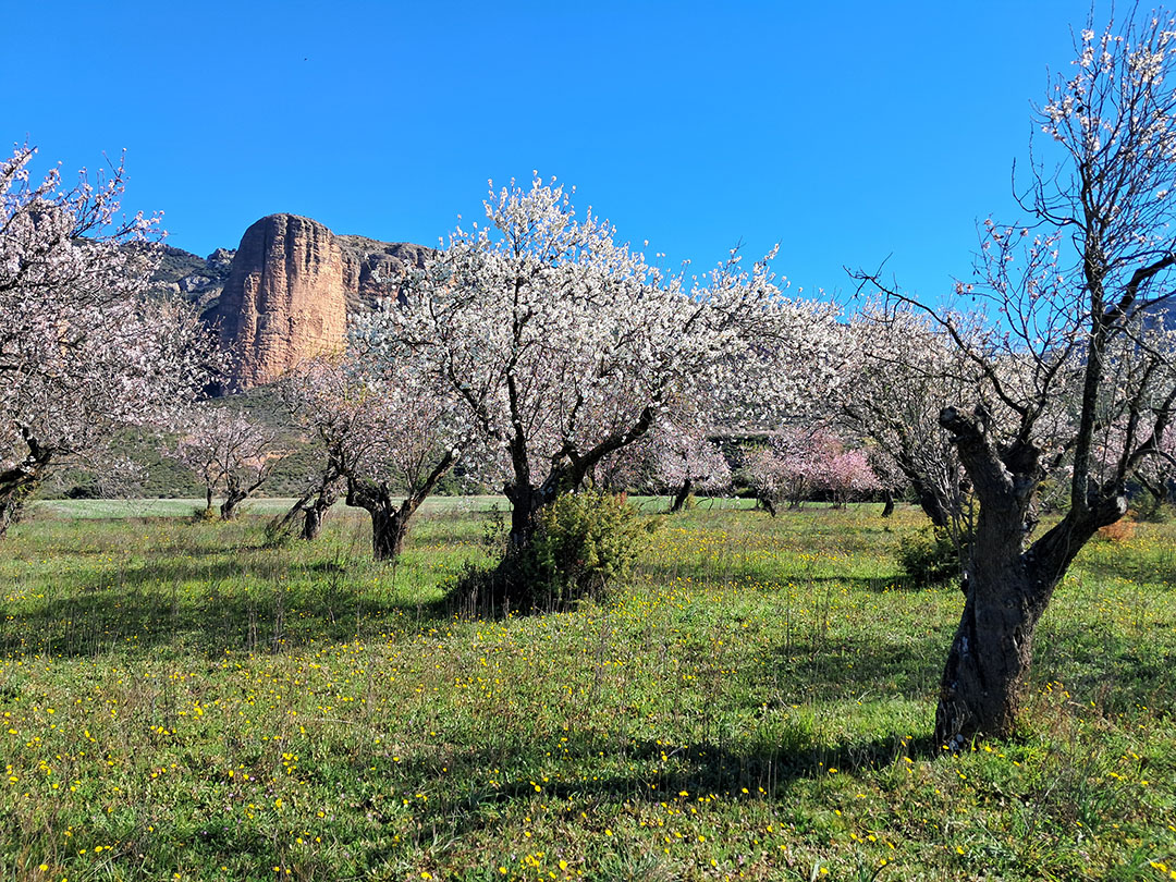 Photo de Christian Ferrère