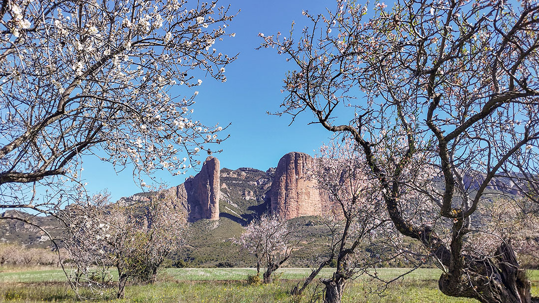 Photo de Fabien Ferrère