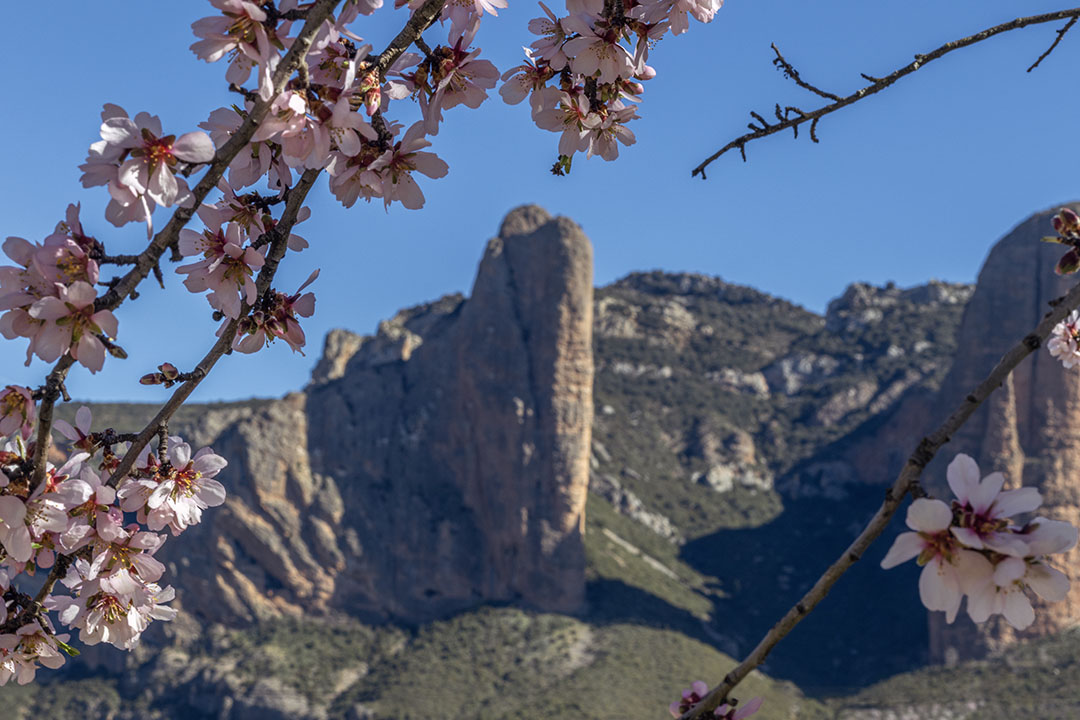 Photo de Fabien Ferrère