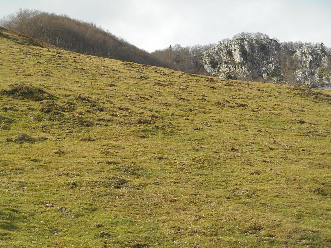 Photo de Christian Ferrère