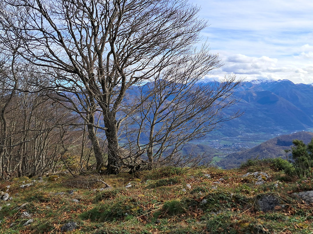 Photo de Christian Ferrère
