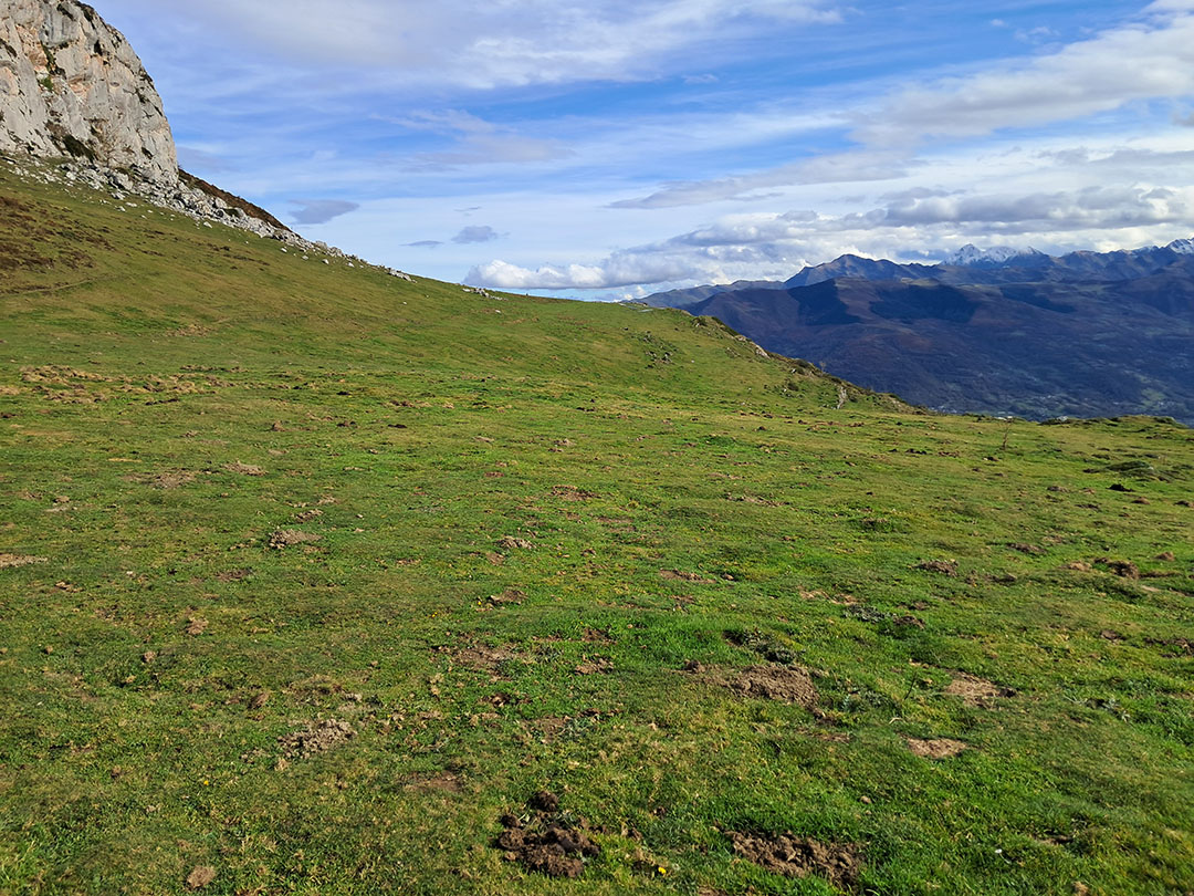 Photo de Christian Ferrère