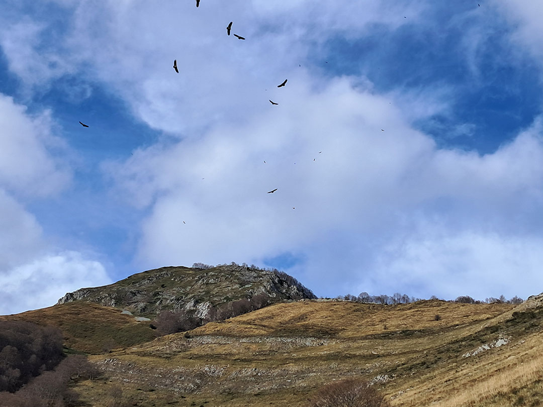 Photo de Christian Ferrère