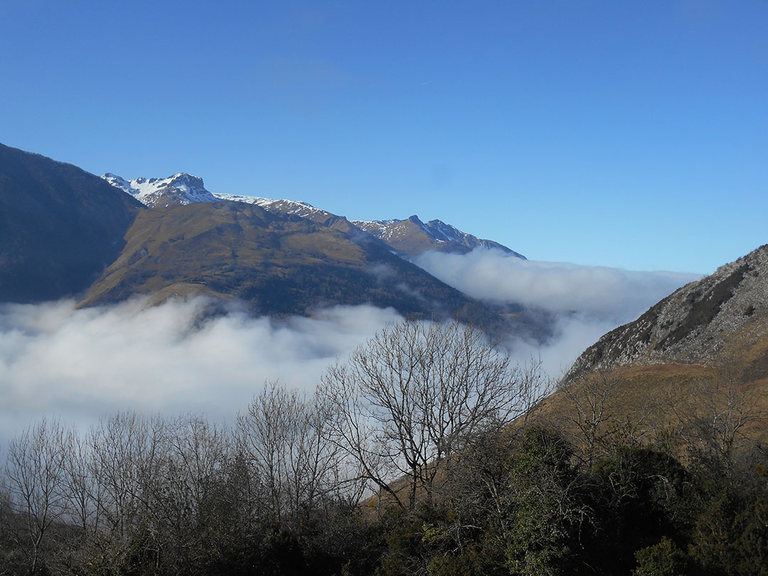 Photo de Christian Ferrère