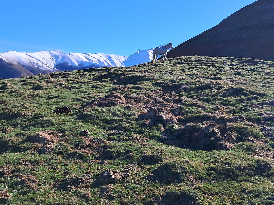 Photo de Christian Ferrère