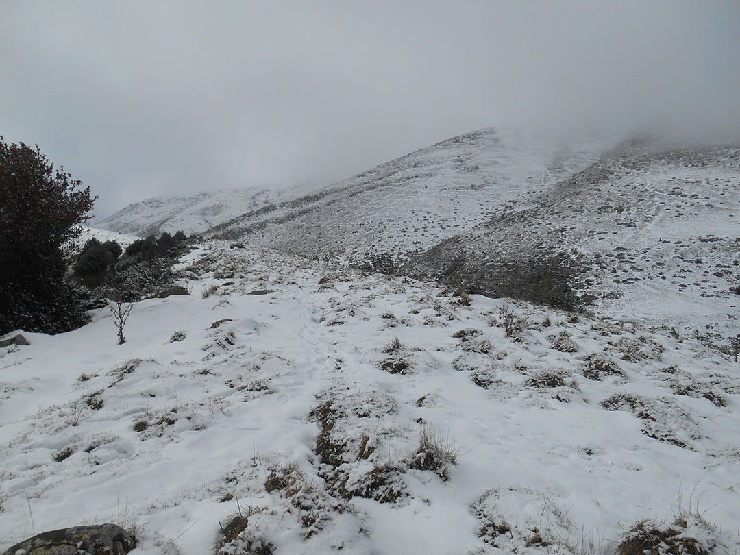 Photo de Christian Ferrère