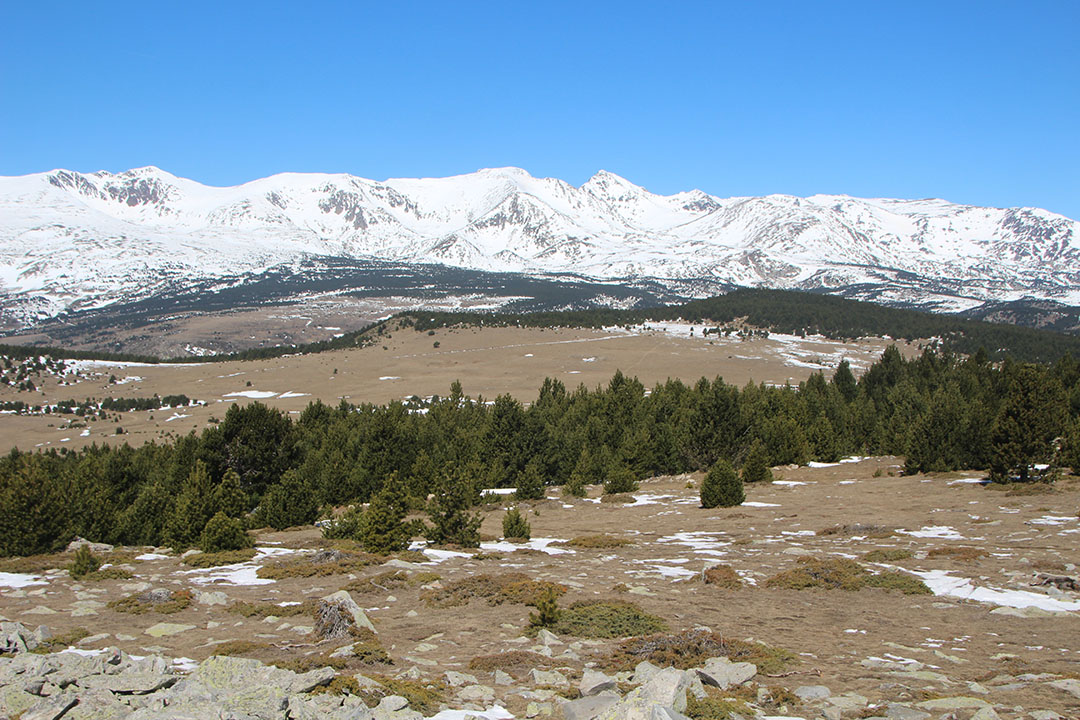 Photo de Christian Ferrère