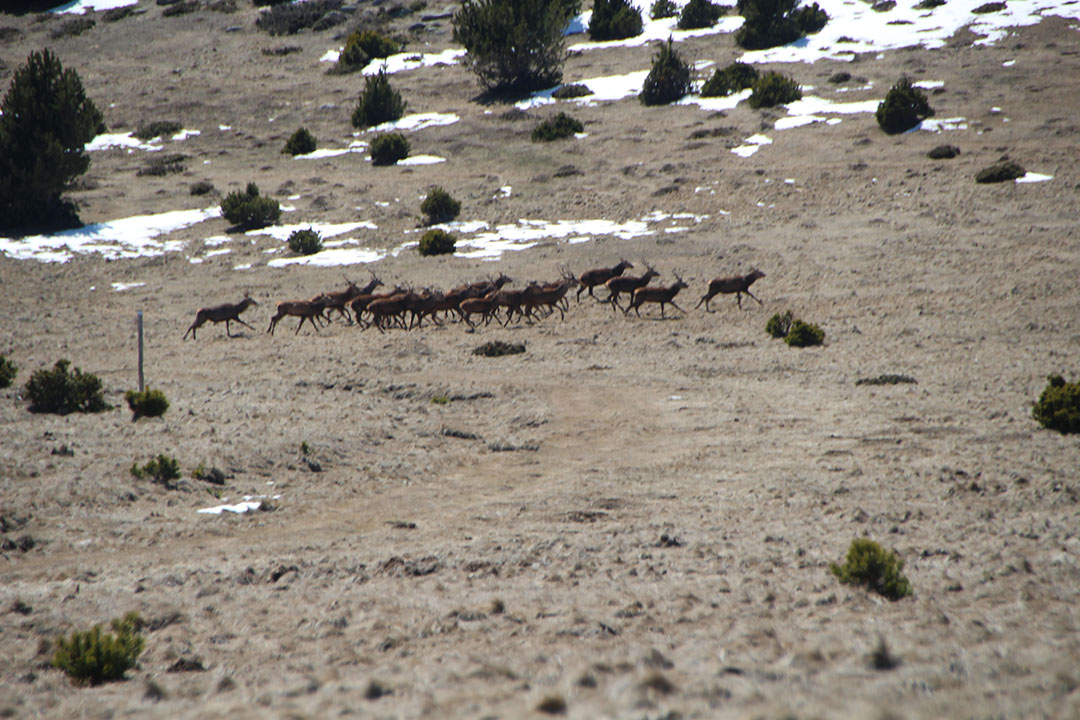 Photo de Christian Ferrère