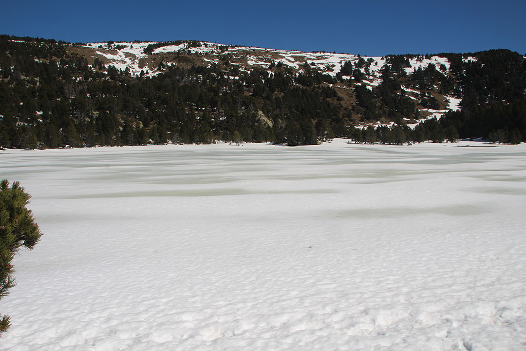 Photo de Christian Ferrère