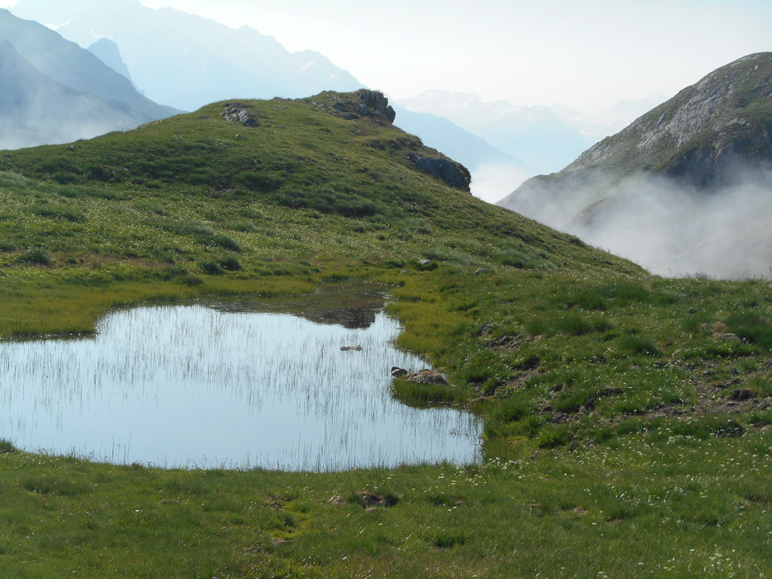 Photo de Christian Ferrère