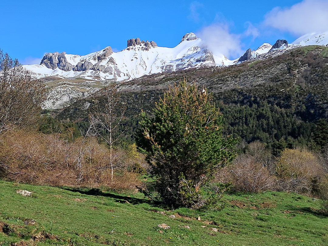 Photo de Christian Ferrère