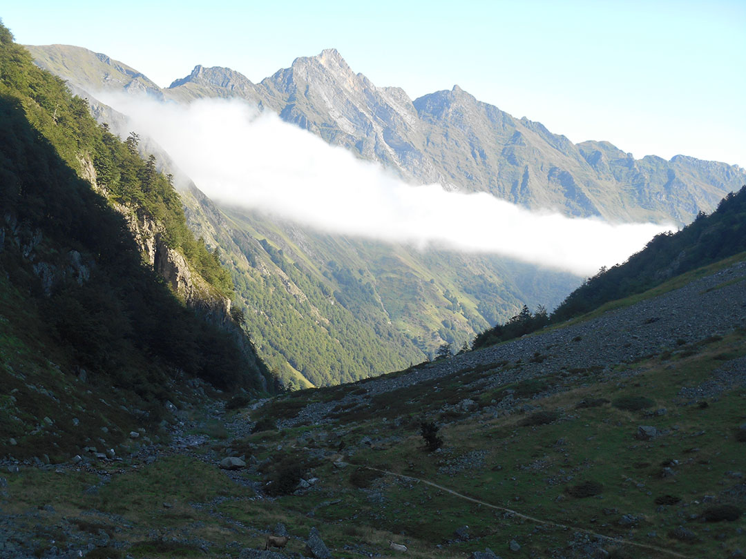 Photo de Christian Ferrère