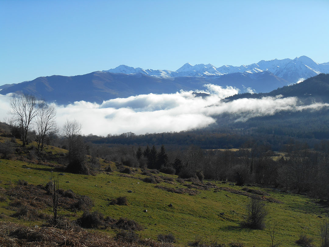 Photo de Christian Ferrère