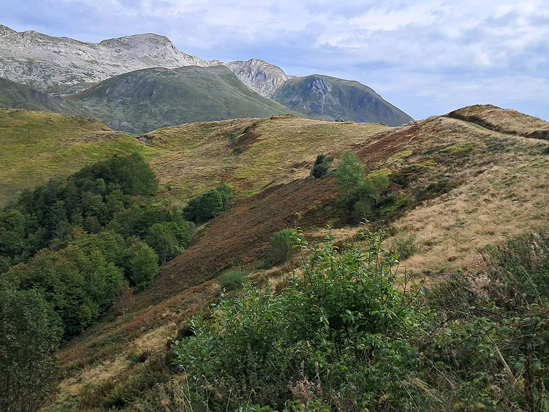 Photo de Christian Ferrère
