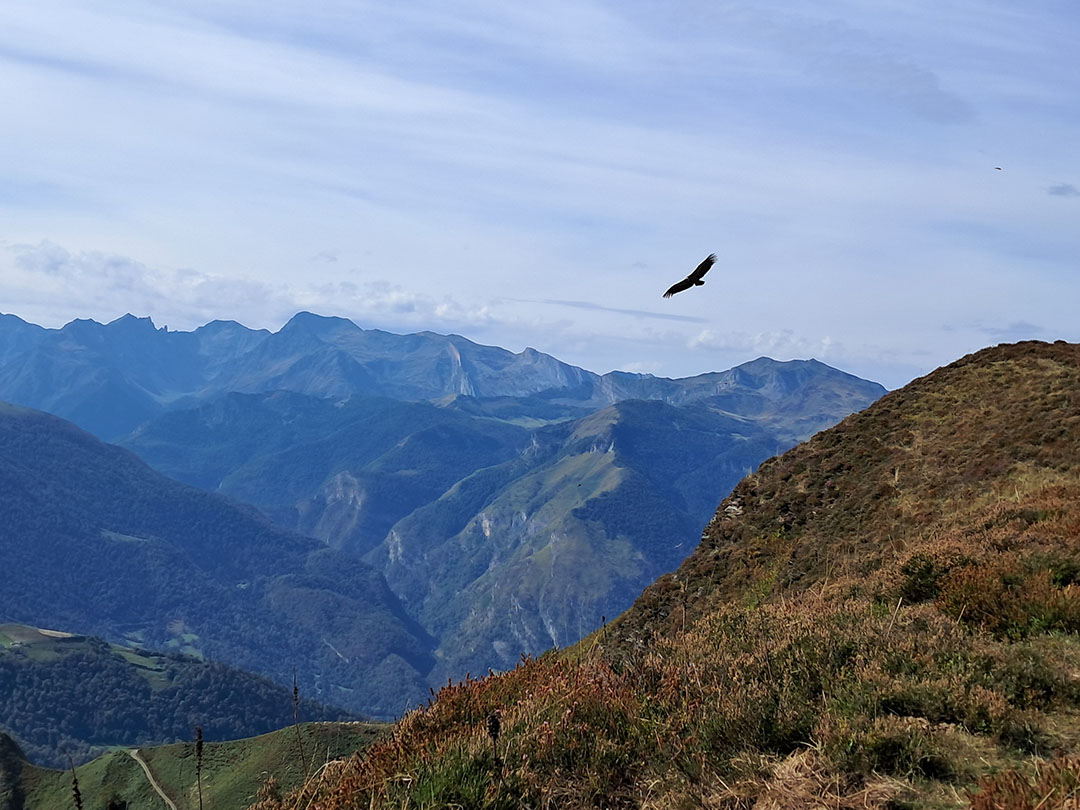Photo de Christian Ferrère