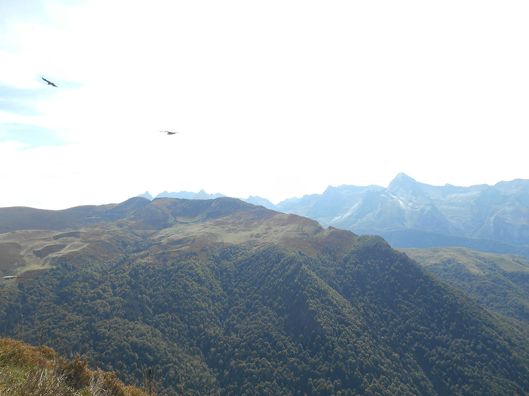 Photo de Christian Ferrère