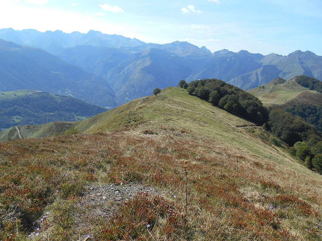 Photo de Christian Ferrère