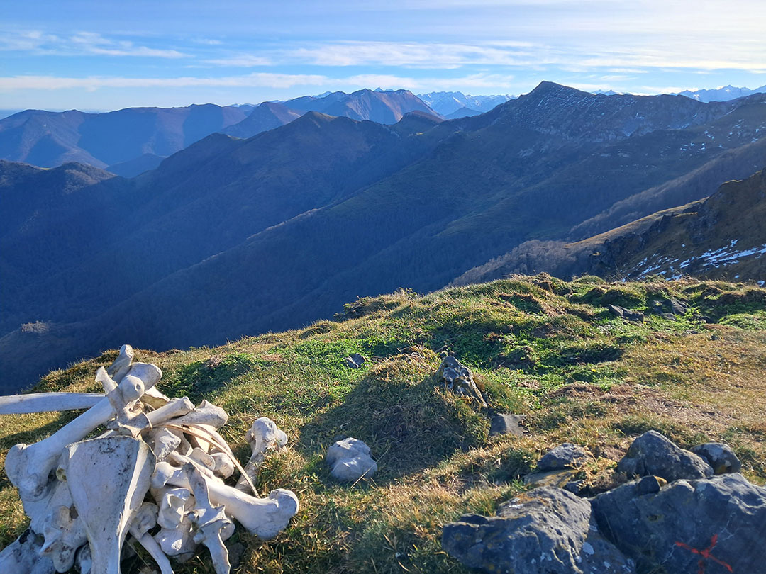 Photo de Christian Ferrère
