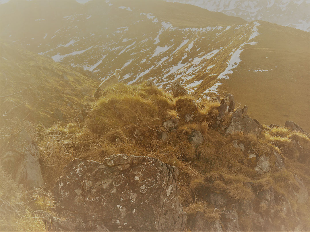 Photo de Christian Ferrère