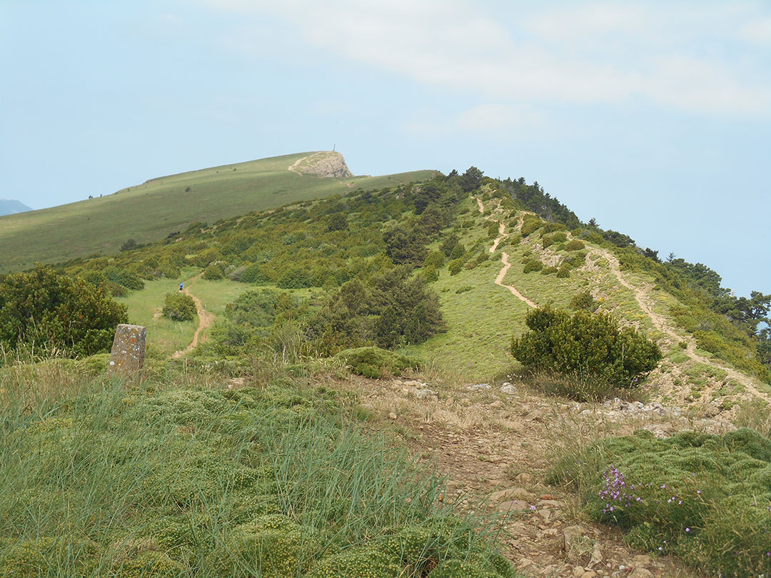 Photo de Christian Ferrère
