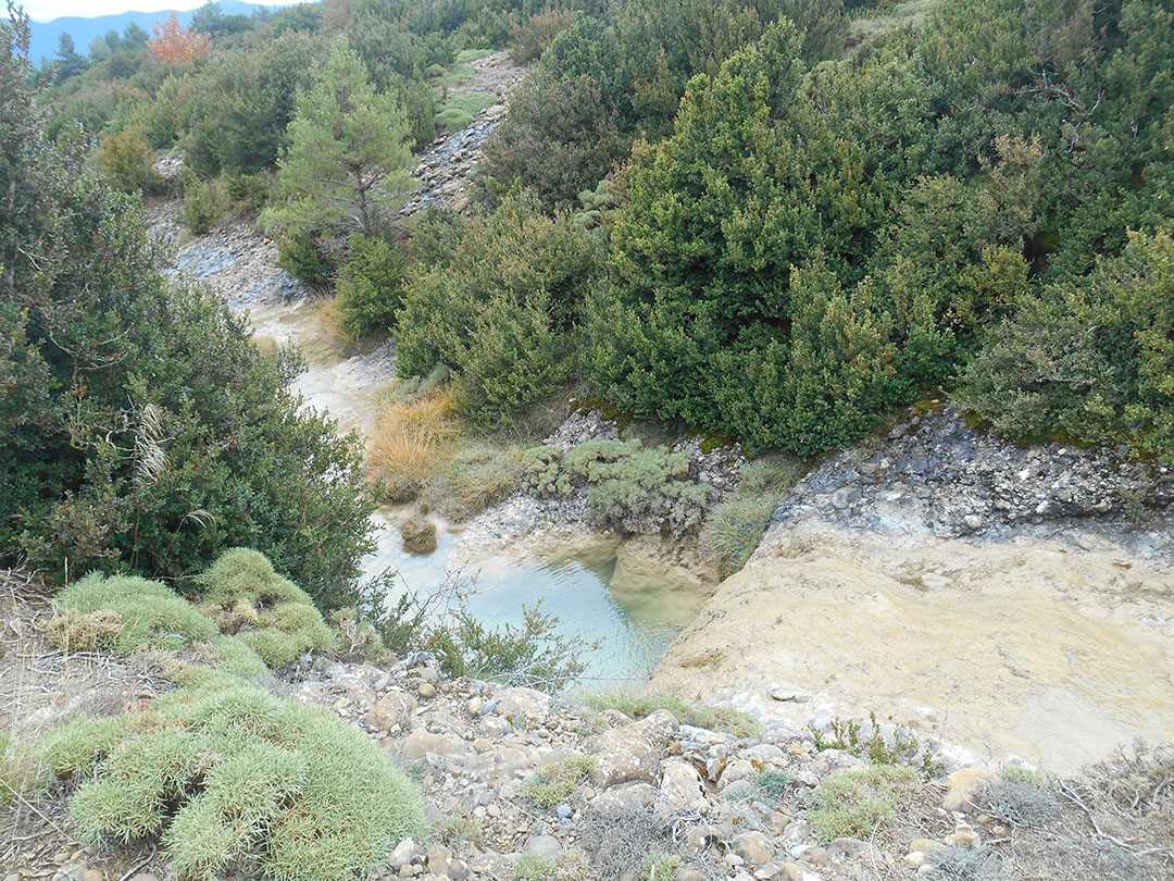 Photo de Christian Ferrère