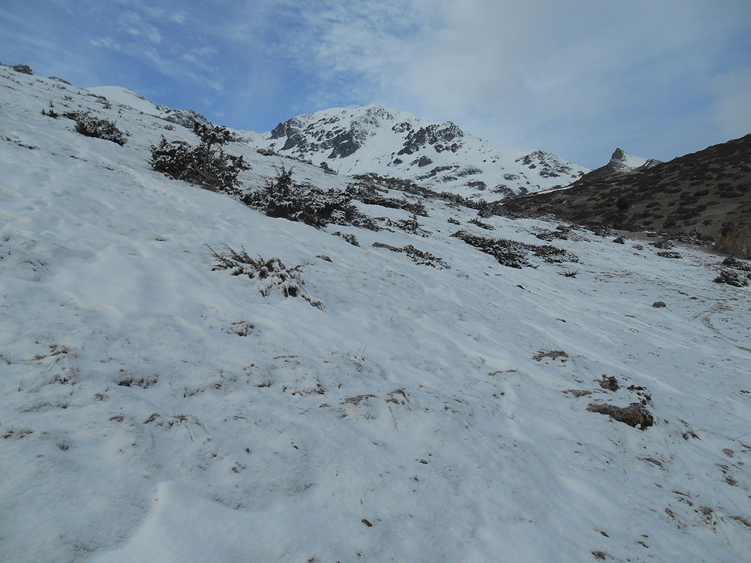 Photo de Christian Ferrère