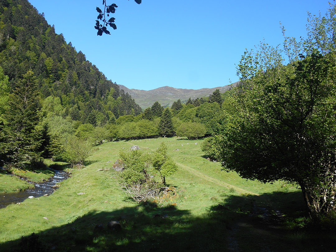 Photo de Christian Ferrère