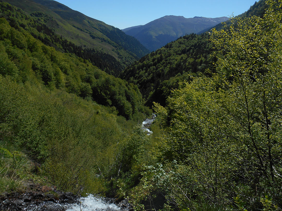 Photo de Christian Ferrère