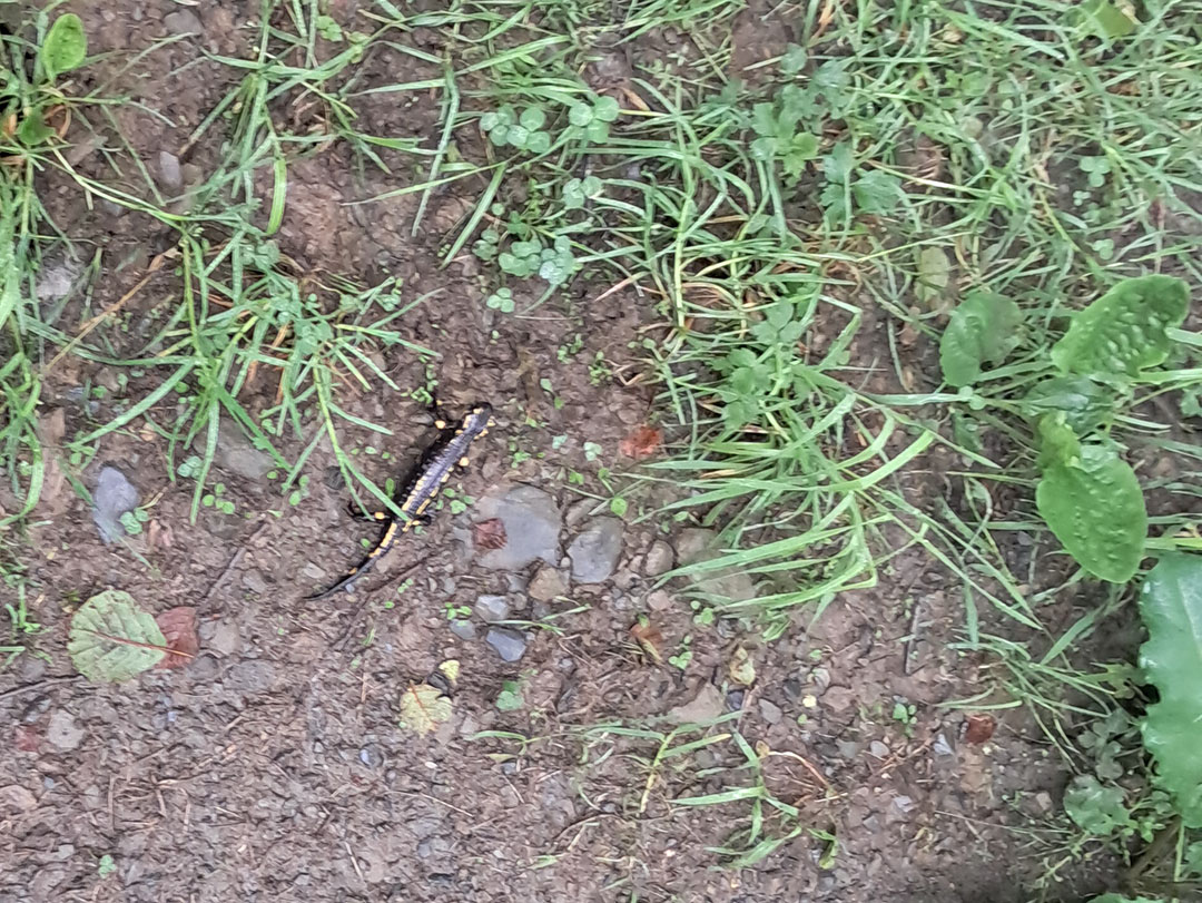 Photo de Christian Ferrère