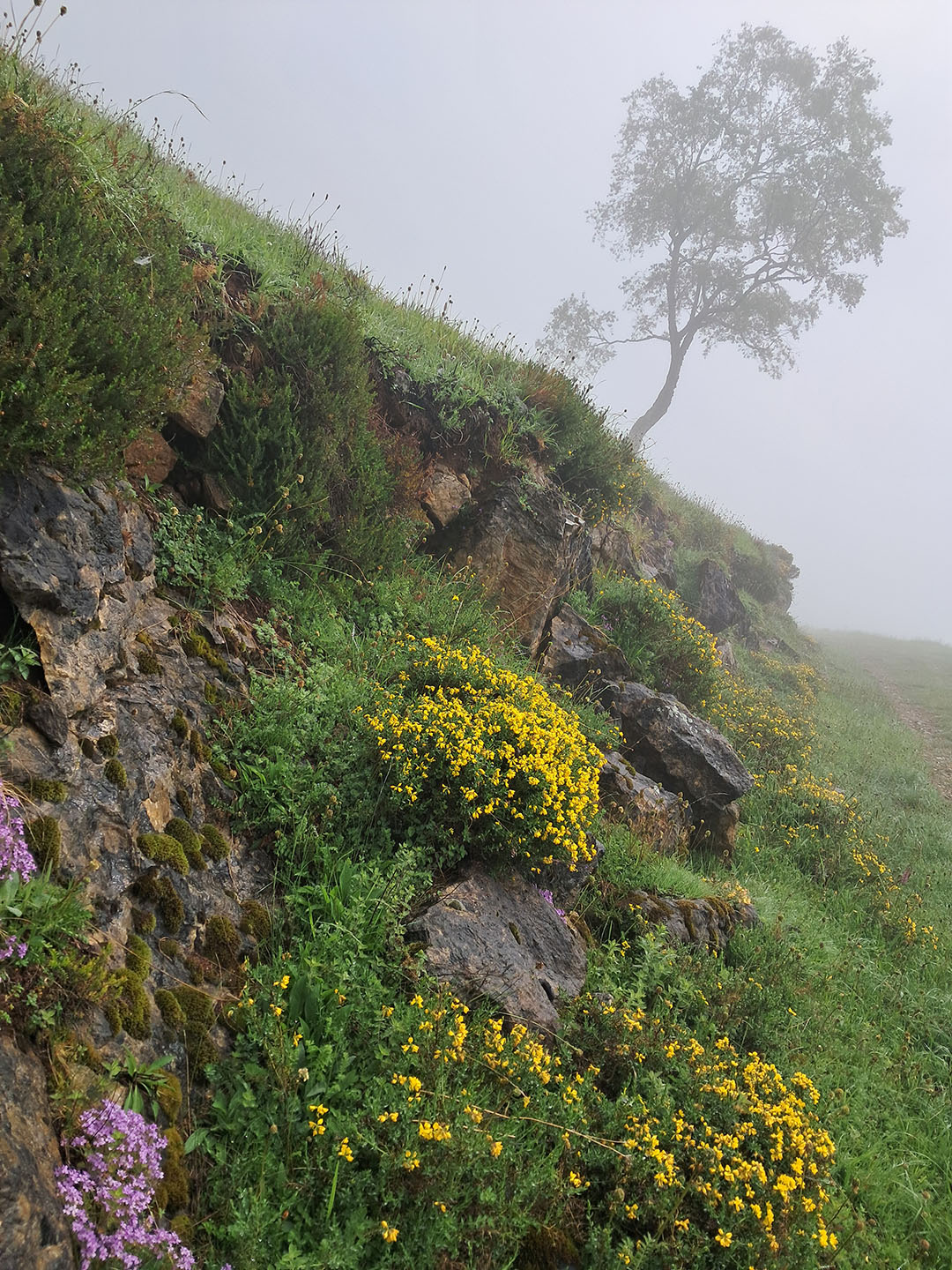 Photo de Christian Ferrère